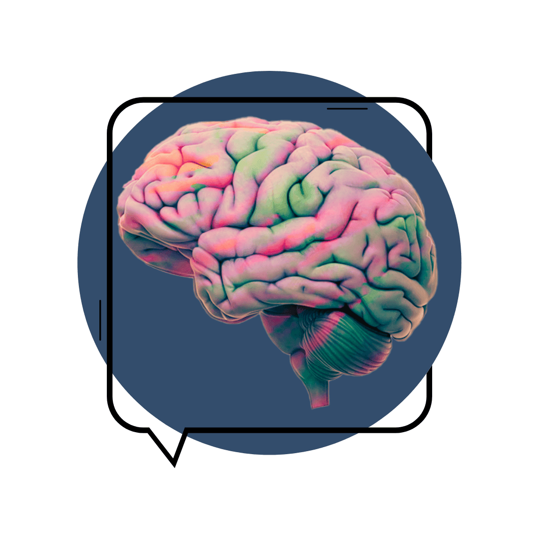 coloful brain